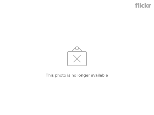 Money by epSos .de / Flickr