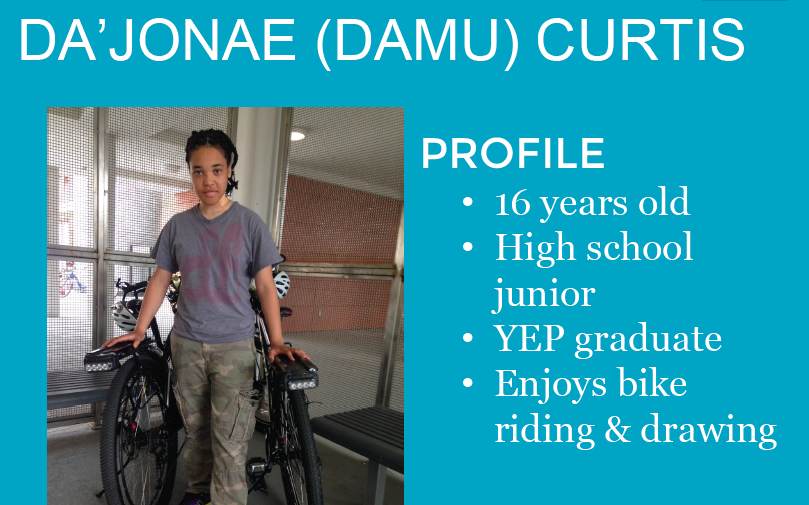 Damu Curtis