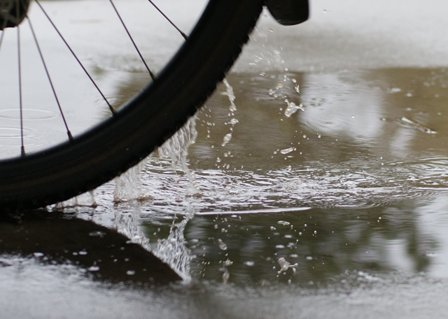 Got Fenders Chris Chaney