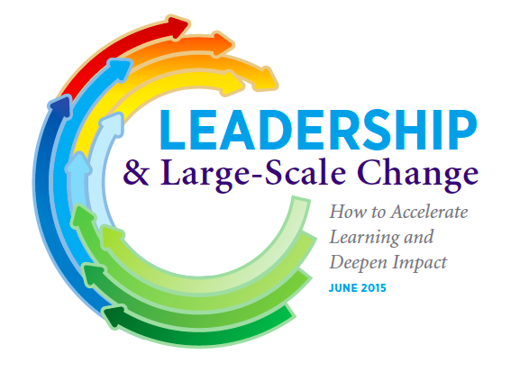 Leadership and Large Scale Change
