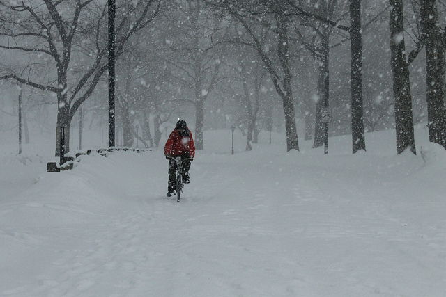 Viking Biking by Liz Patek